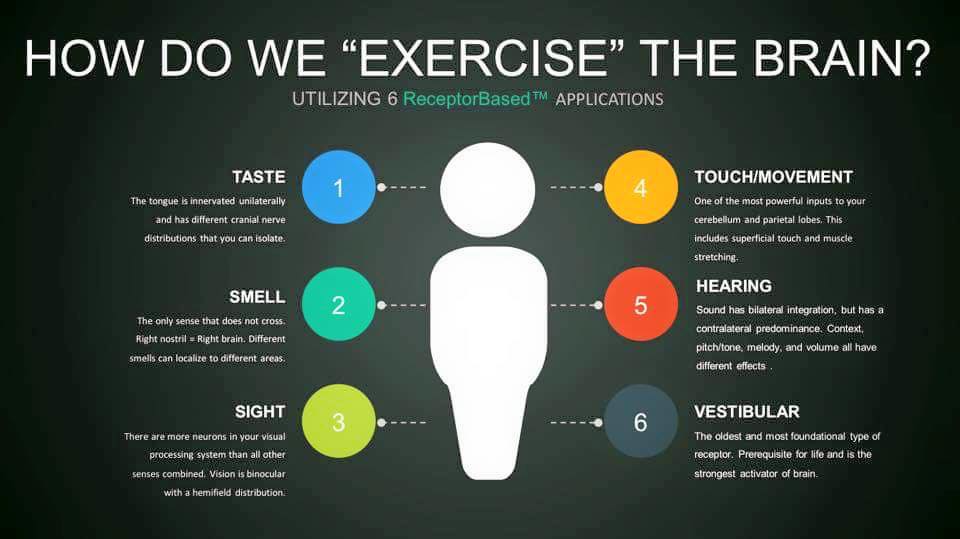 How do we exercise the brain?