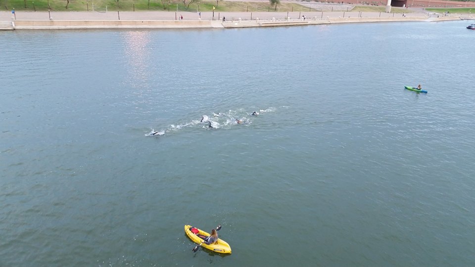 ironmantempeswimDrGroves